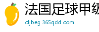 法国足球甲级联赛